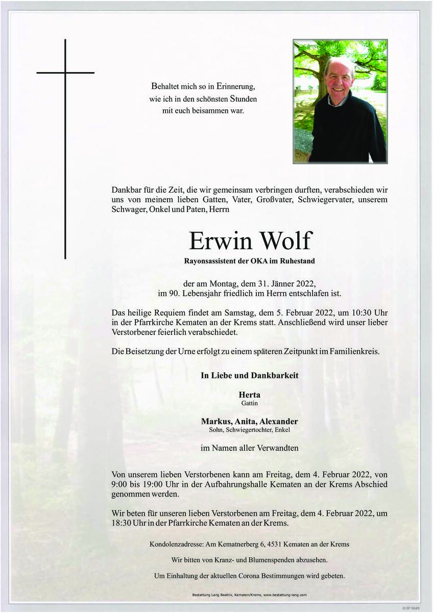 211_wolf_erwin.jpeg