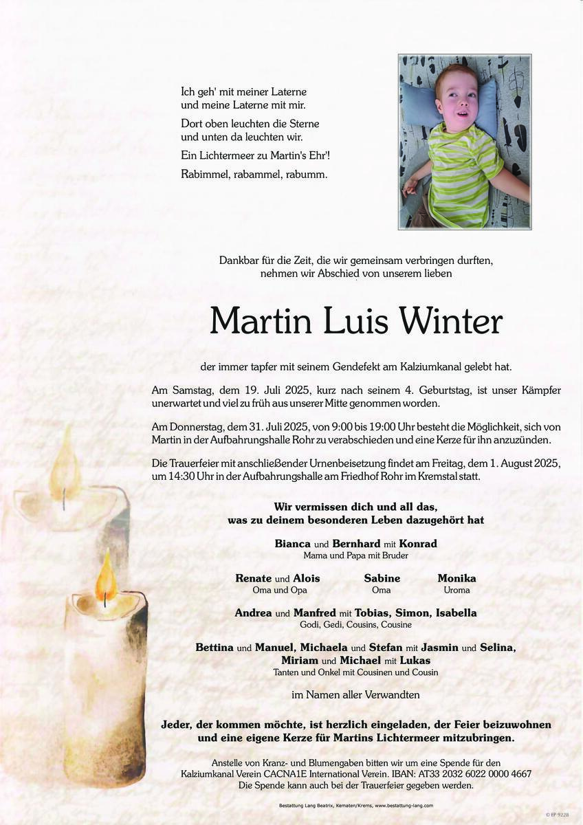 358_winter_martin_luis.jpeg
