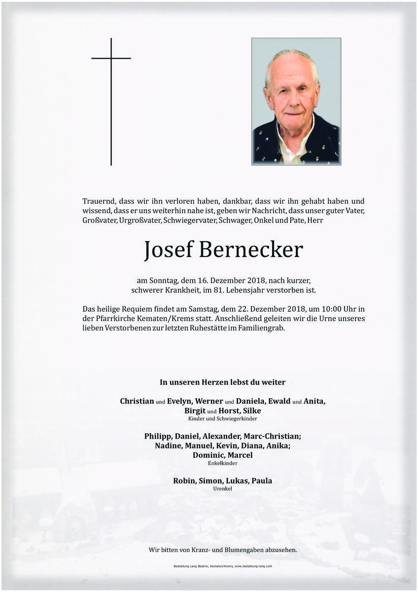 80_bernecker_josef.jpeg